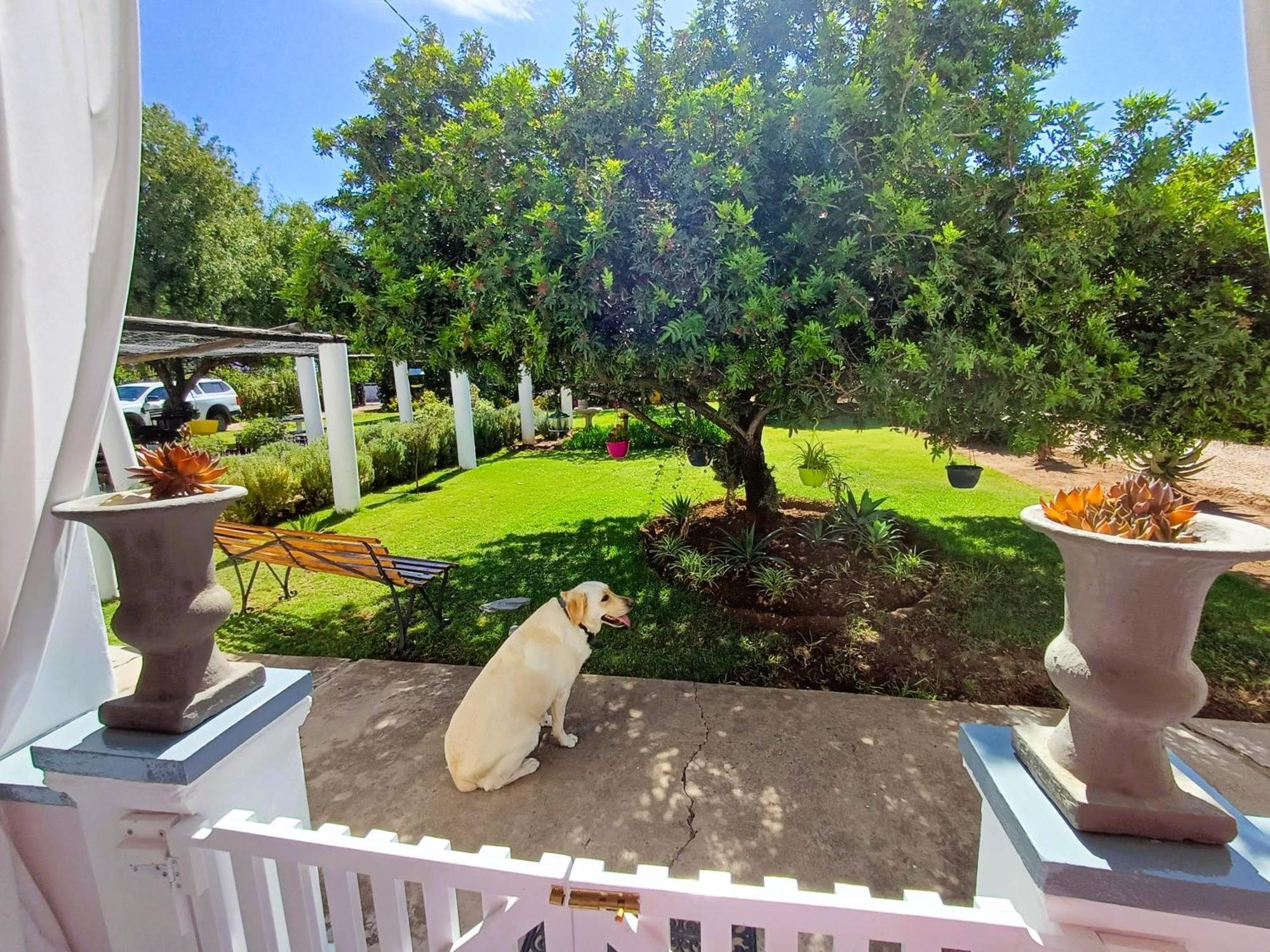 86 On Jubilee Hotell Oudtshoorn Rom bilde